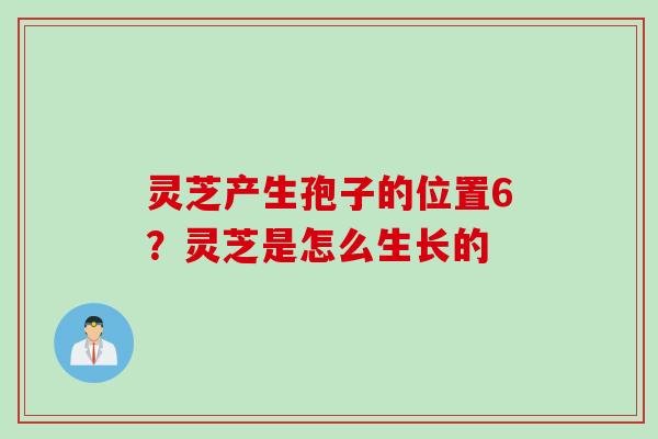 灵芝产生孢子的位置6？灵芝是怎么生长的