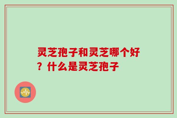 灵芝孢子和灵芝哪个好?什么是灵芝孢子 灵芝孢子和灵芝哪个好?什么是灵芝孢子