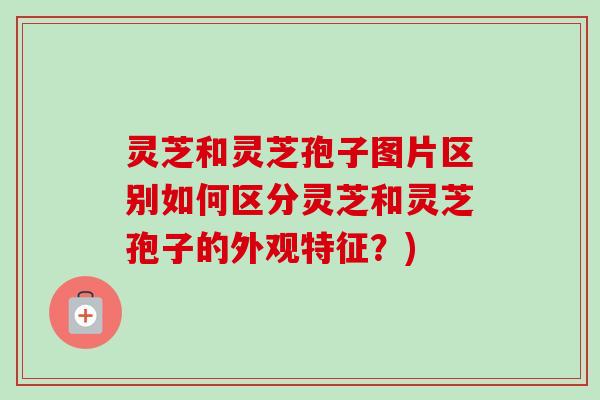 灵芝和灵芝孢子图片区别如何区分灵芝和灵芝孢子的外观特征？)