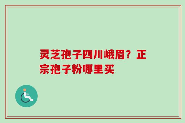 灵芝孢子四川峨眉？正宗孢子粉哪里买