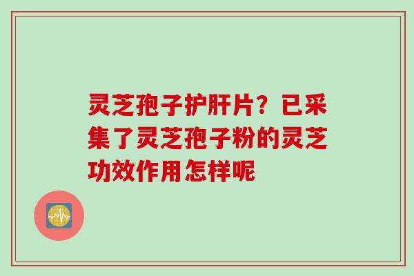 灵芝孢子护肝片？已采集了灵芝孢子粉的灵芝功效作用怎样呢