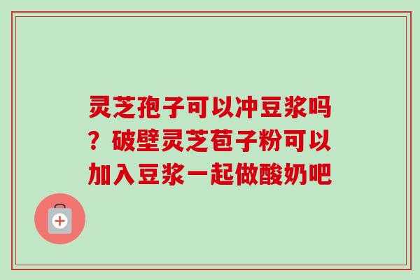 灵芝孢子可以冲豆浆吗？破壁灵芝苞子粉可以加入豆浆一起做酸奶吧