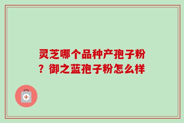 灵芝哪个品种产孢子粉？御之蓝孢子粉怎么样