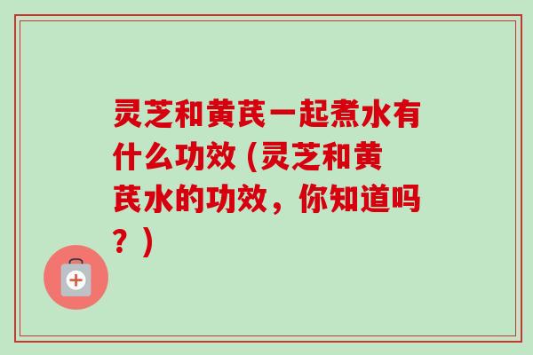 灵芝和黄芪一起煮水有什么功效 (灵芝和黄芪水的功效，你知道吗？)