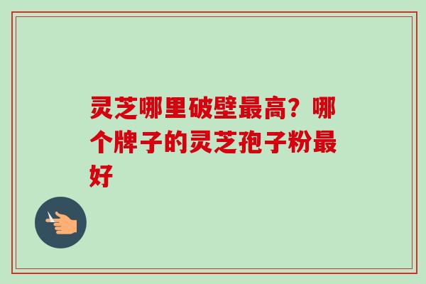 灵芝哪里破壁最高？哪个牌子的灵芝孢子粉最好