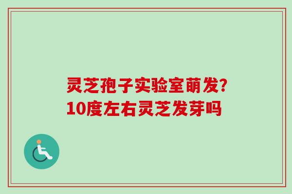 灵芝孢子实验室萌发？10度左右灵芝发芽吗