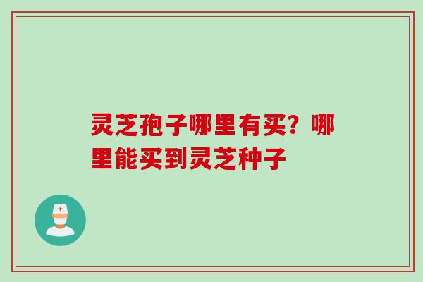 灵芝孢子哪里有买？哪里能买到灵芝种子