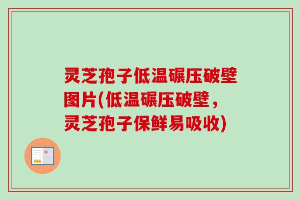 灵芝孢子低温碾压破壁图片(低温碾压破壁,灵芝孢子保鲜易吸收) 灵芝孢子低温碾压破壁图片(低温碾压破壁,灵芝孢子保鲜易吸收)