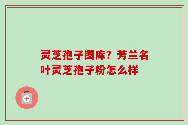 灵芝孢子图库?芳兰名叶灵芝孢子粉怎么样 灵芝孢子图库?芳兰名叶灵芝孢子粉怎么样