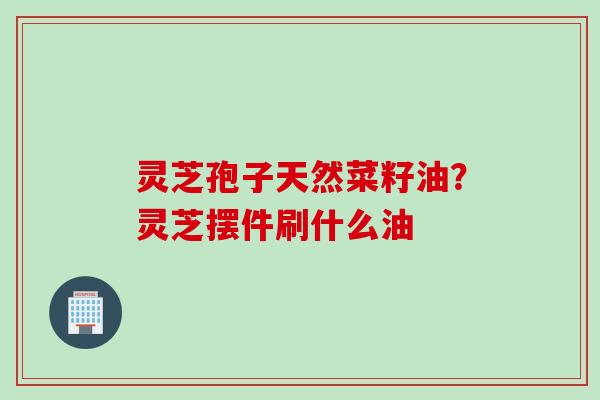 灵芝孢子天然菜籽油？灵芝摆件刷什么油