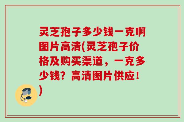 灵芝孢子多少钱一克啊图片高清(灵芝孢子价格及购买渠道,一克多少钱?高清图片供应!) 灵芝孢子多少钱一克啊图片高清(灵芝孢子价格及购买渠道,一克多少钱?高清图片供应!)
