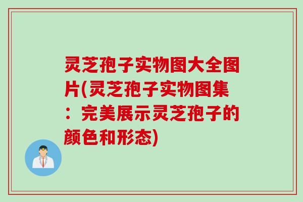 灵芝孢子实物图大全图片(灵芝孢子实物图集:完美展示灵芝孢子的颜色和形态) 灵芝孢子实物图大全图片(灵芝孢子实物图集:完美展示灵芝孢子的颜色和形态)