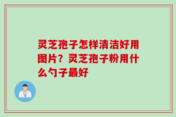 灵芝孢子怎样清洁好用图片？灵芝孢子粉用什么勺子最好
