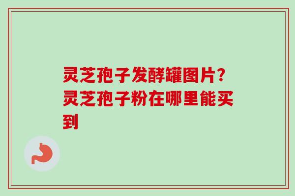 灵芝孢子发酵罐图片？灵芝孢子粉在哪里能买到