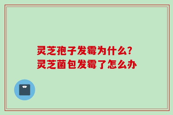 灵芝孢子发霉为什么？灵芝菌包发霉了怎么办