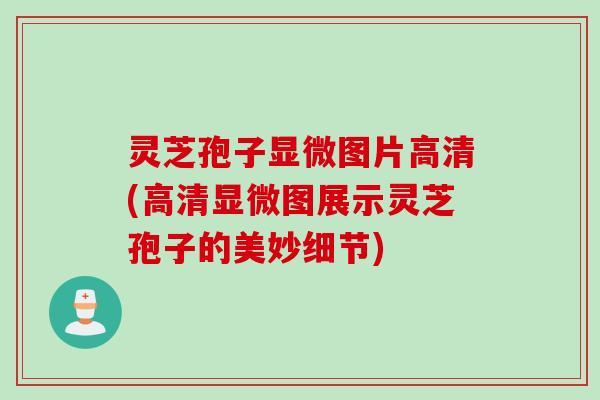 灵芝孢子显微图片高清(高清显微图展示灵芝孢子的美妙细节)