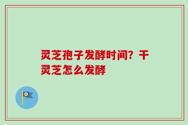 灵芝孢子发酵时间？干灵芝怎么发酵