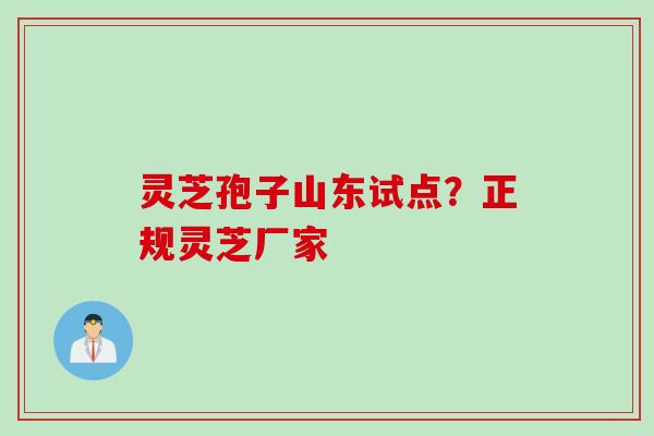 灵芝孢子山东试点？正规灵芝厂家