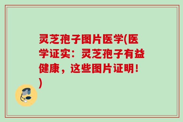 灵芝孢子图片医学(医学证实：灵芝孢子有益健康，这些图片证明！)