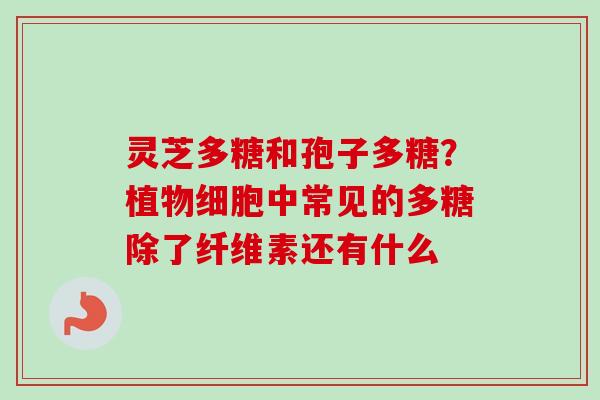 灵芝多糖和孢子多糖？植物细胞中常见的多糖除了纤维素还有什么