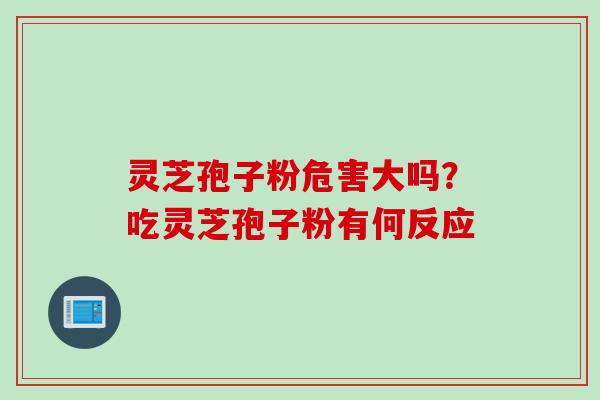 灵芝孢子粉危害大吗？吃灵芝孢子粉有何反应