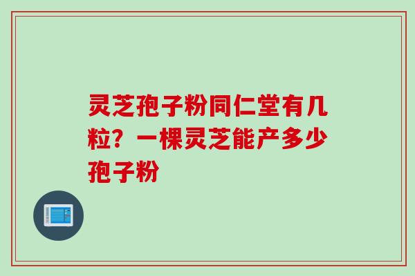 灵芝孢子粉同仁堂有几粒？一棵灵芝能产多少孢子粉