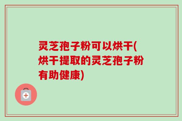灵芝孢子粉可以烘干(烘干提取的灵芝孢子粉有助健康)