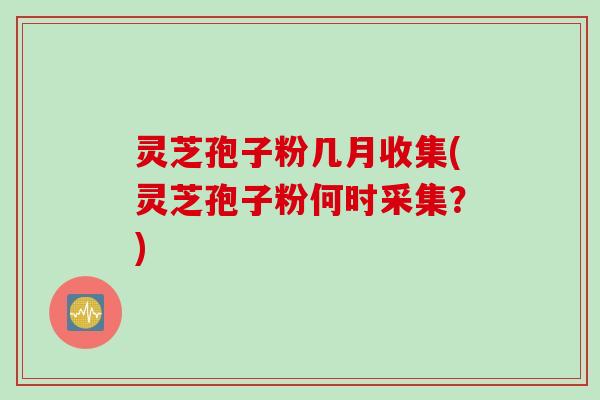 灵芝孢子粉几月收集(灵芝孢子粉何时采集？)