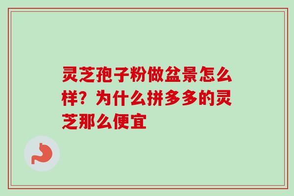灵芝孢子粉做盆景怎么样？为什么拼多多的灵芝那么便宜
