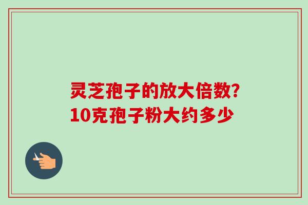 灵芝孢子的放大倍数？10克孢子粉大约多少