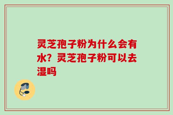 灵芝孢子粉为什么会有水?灵芝孢子粉可以去湿吗 灵芝孢子粉为什么会有水?灵芝孢子粉可以去湿吗