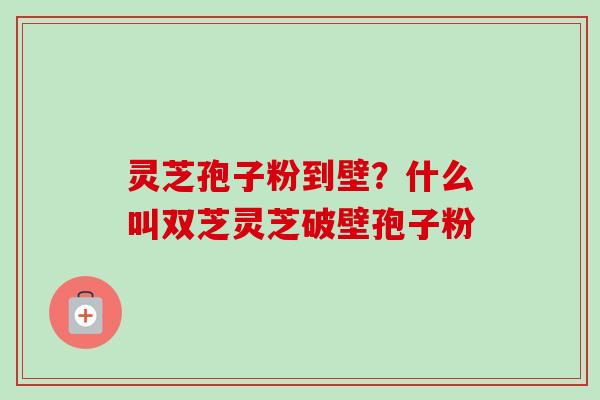 灵芝孢子粉到壁？什么叫双芝灵芝破壁孢子粉
