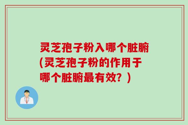 灵芝孢子粉入哪个脏腑(灵芝孢子粉的作用于哪个脏腑最有效？)
