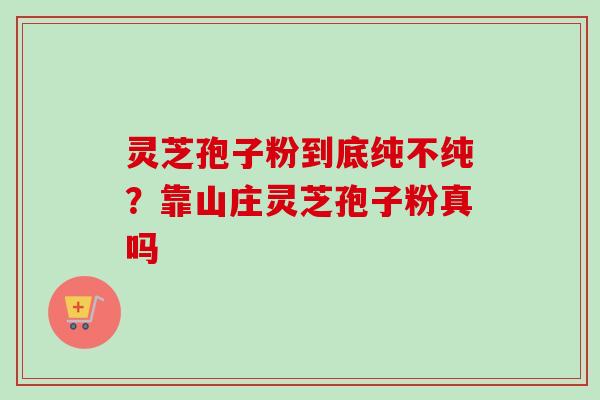 灵芝孢子粉到底纯不纯？靠山庄灵芝孢子粉真吗
