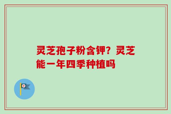 灵芝孢子粉含钾？灵芝能一年四季种植吗