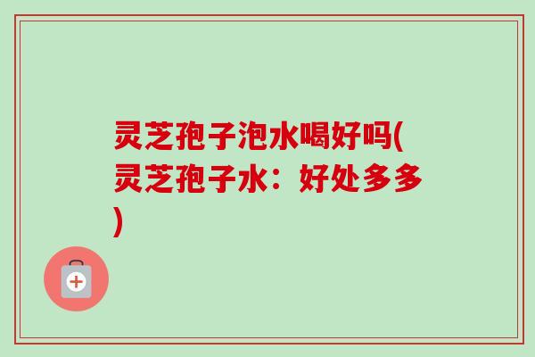 灵芝孢子泡水喝好吗(灵芝孢子水：好处多多)