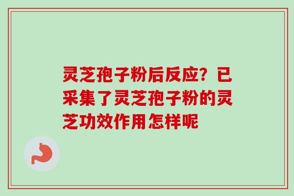 灵芝孢子粉后反应？已采集了灵芝孢子粉的灵芝功效作用怎样呢
