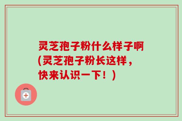 灵芝孢子粉什么样子啊(灵芝孢子粉长这样，快来认识一下！)