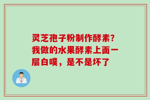 灵芝孢子粉制作酵素？我做的水果酵素上面一层白噗，是不是坏了