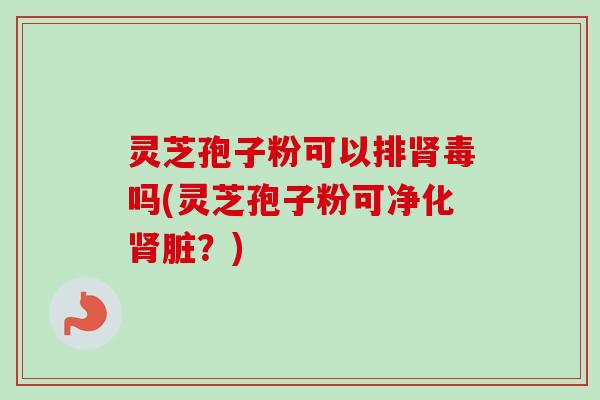 灵芝孢子粉可以排肾毒吗(灵芝孢子粉可净化肾脏？)