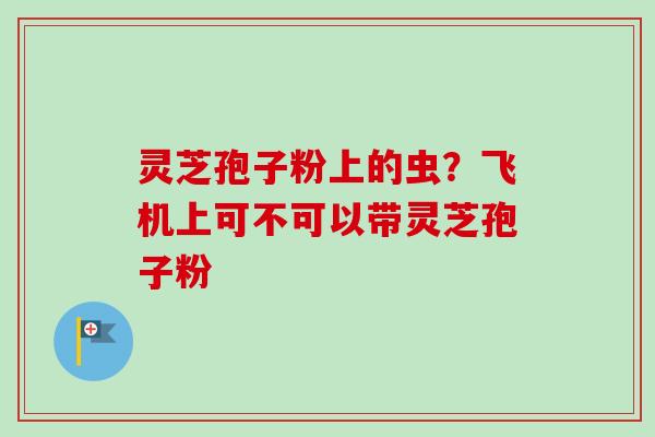 灵芝孢子粉上的虫？飞机上可不可以带灵芝孢子粉
