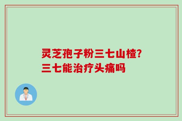 灵芝孢子粉三七山楂？三七能治疗头痛吗