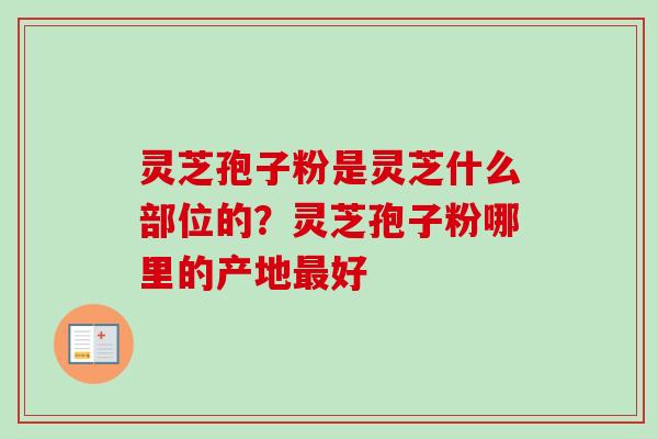 灵芝孢子粉是灵芝什么部位的？灵芝孢子粉哪里的产地最好