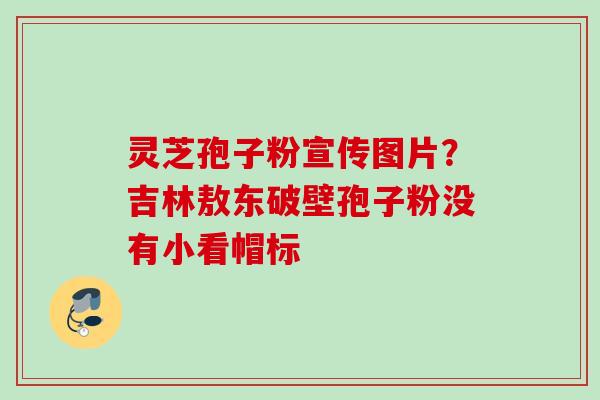 灵芝孢子粉宣传图片？吉林敖东破壁孢子粉没有小看帽标