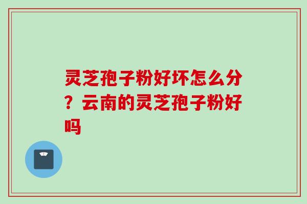 灵芝孢子粉好坏怎么分？云南的灵芝孢子粉好吗