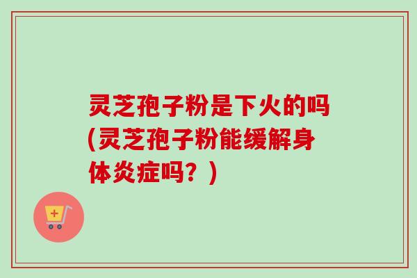 灵芝孢子粉是下火的吗(灵芝孢子粉能缓解身体吗？)