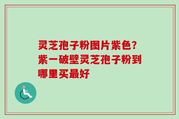 灵芝孢子粉图片紫色？紫一破壁灵芝孢子粉到哪里买最好