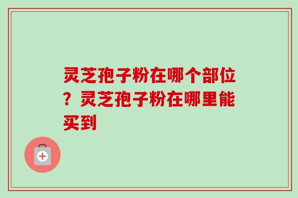 灵芝孢子粉在哪个部位?灵芝孢子粉在哪里能买到 灵芝孢子粉在哪个部位?灵芝孢子粉在哪里能买到