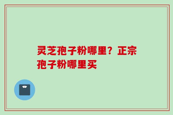 灵芝孢子粉哪里？正宗孢子粉哪里买