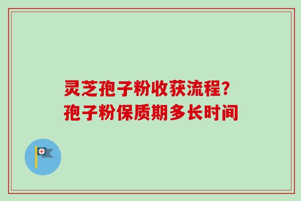 灵芝孢子粉收获流程？孢子粉保质期多长时间